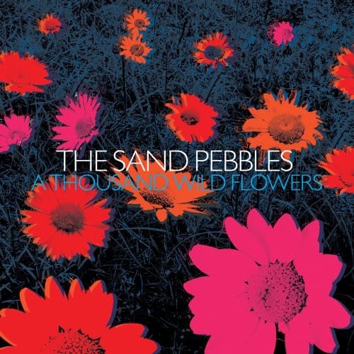 The Sand Pebbles - A Thousand Wild Flowers   - COMPACT DISCS [CD] price history on PriceWatchPro