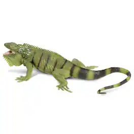 Safari Ltd. - Iguana Toy Figurine