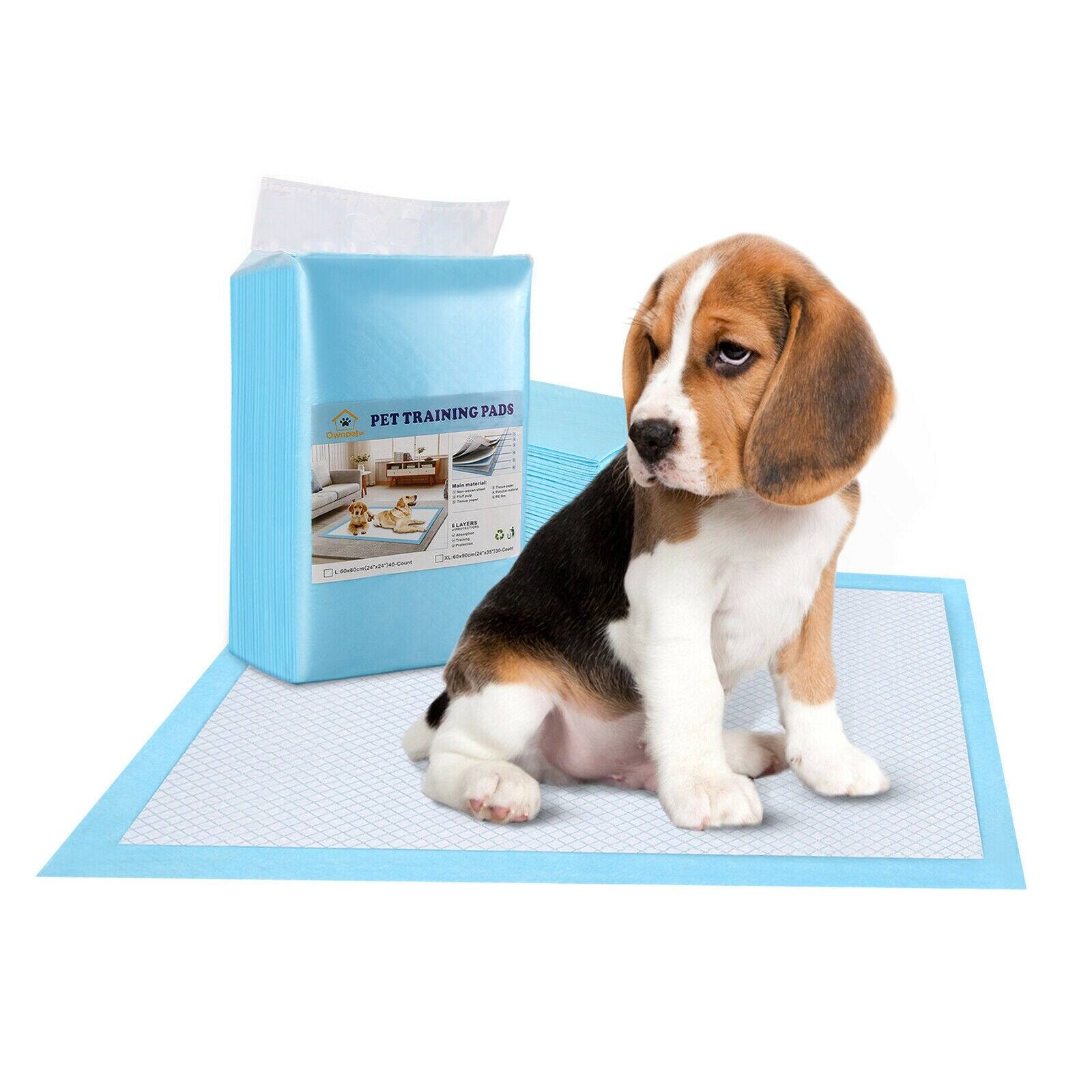 PET TRAINING PADS