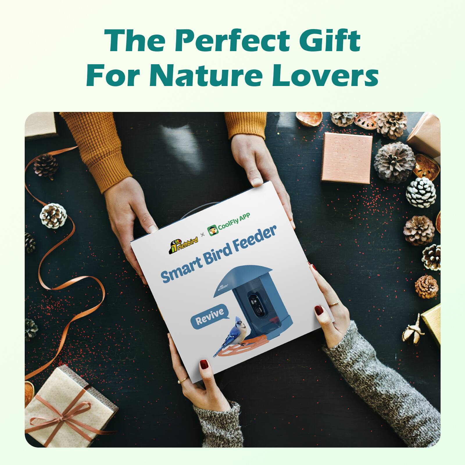 The Perfect Gift For Nature Lovers

CoolFly x Feeder Trickbird L1 Bird Smart d Revive
