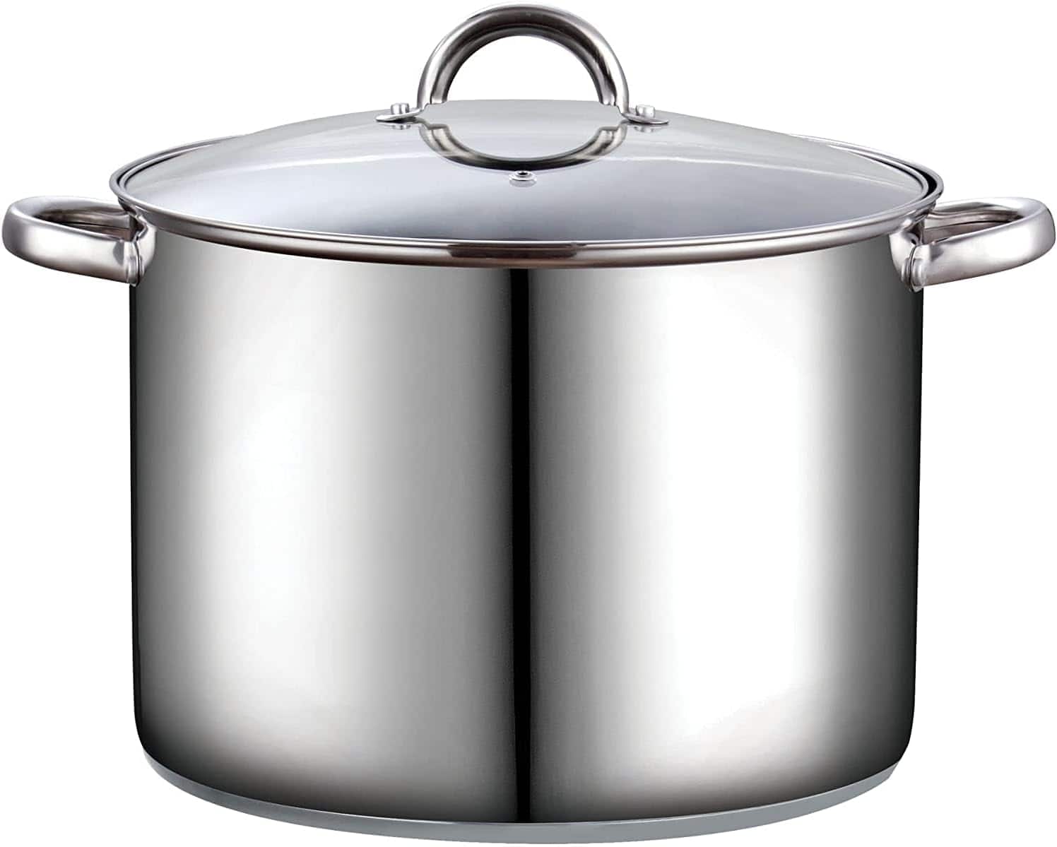 Cook N Home - Basics 16QT S/S Stock Pot for Pasta, Soup with Lid,Sturdy Handle,Oven & Dishwasher Safe,for Canning, Boiling, Simmer - STAINLESS STEEL price history on PriceWatchPro
