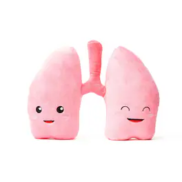 Nerdbugs - Lungs Plush Organ Toys