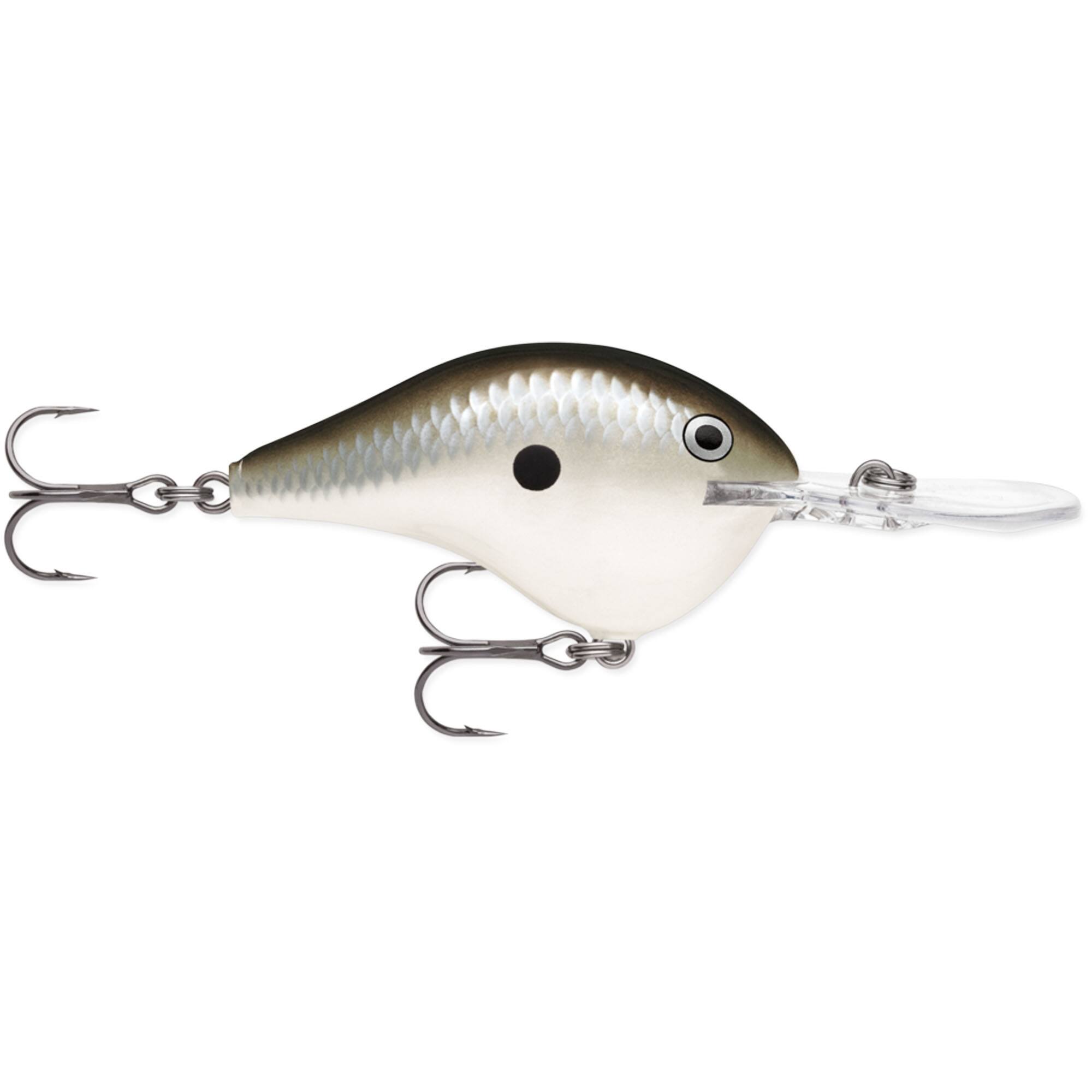 Pearl Grey Shiner