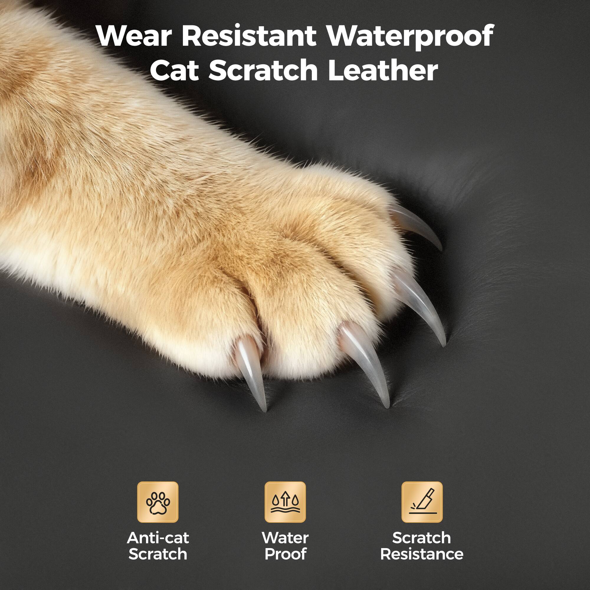 Wear Resistant Waterproof Cat Scratch Leather

- Anti-cat Scratch
- Water Proof
- Scratch Resistance