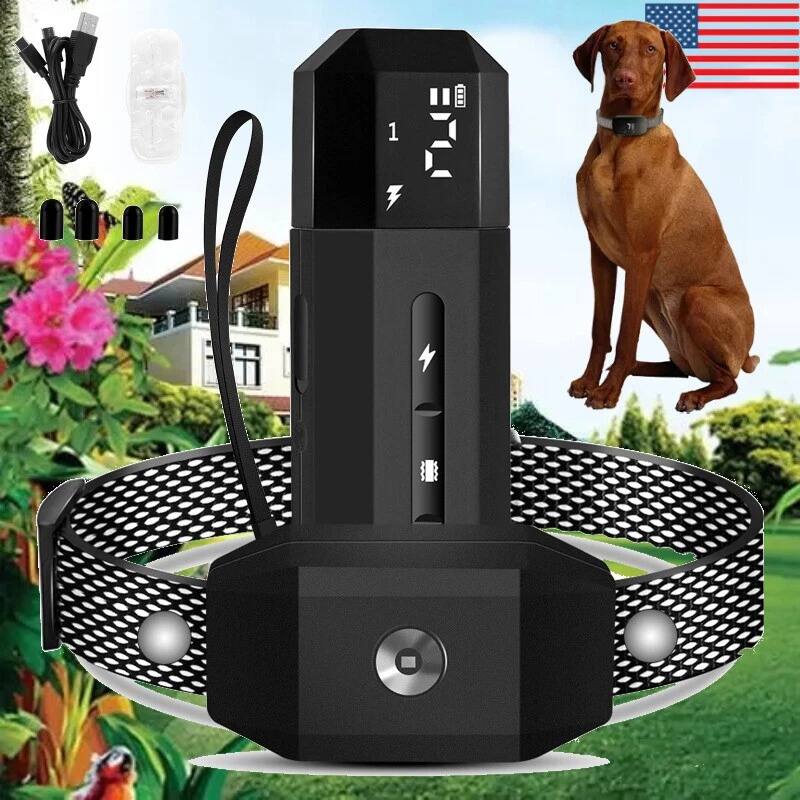 Angle. Home Collection - Rechargeable Remote Dog Training Collar with Shock Mode & Waterproof Receiver - Black.