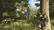 The text on the image reads "80T HEM ALLDC - F TIE." This is likely a reference to a game or a specific location within the game. The text is not related to the content of the image, which features a group of people playing a game, possibly a video game, in a forest setting.
