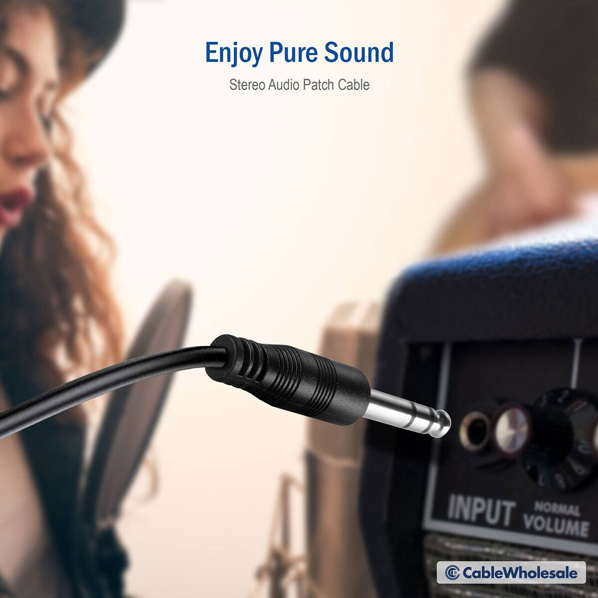 Enjoy Pure Sound  
Stereo Audio Patch Cable  

INPUT NORMAL VOLUME  

CableWholesale