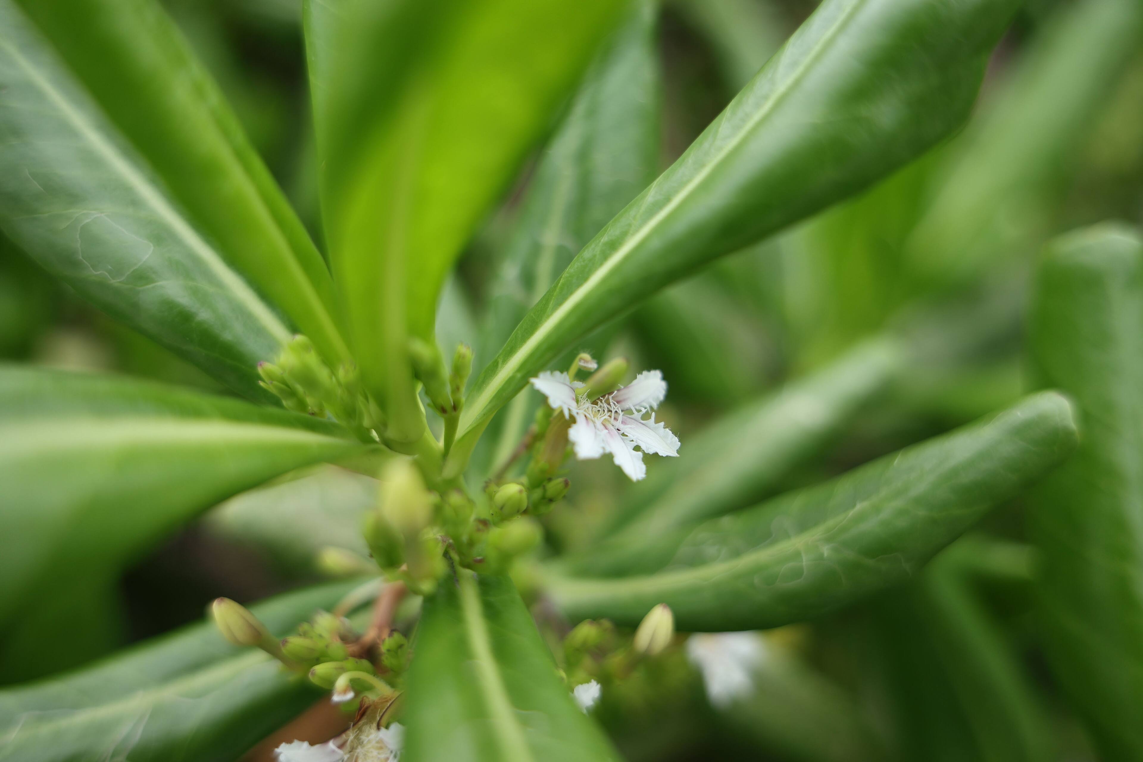 Alt View 22. Canon - RF28-70mm F2.8 IS STM Standard Zoom Lens for EOS R-Series Cameras - Black.