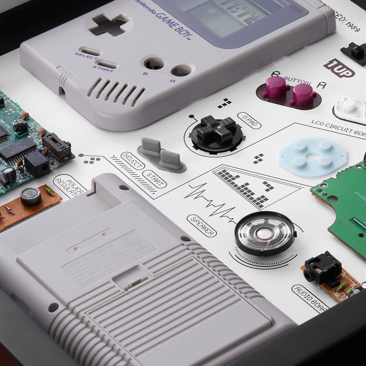 4215 S cPU SELECT R START ntendo GAME BOY

a SIND ESTV ED: 1989 P BUTTOOI 1UP A 0 OPAO LCO CIRCUIT B0

a SELECT POWER START Msi SPEAKER Sae UR

0035360

A 0 AUDIO JG L

BORF