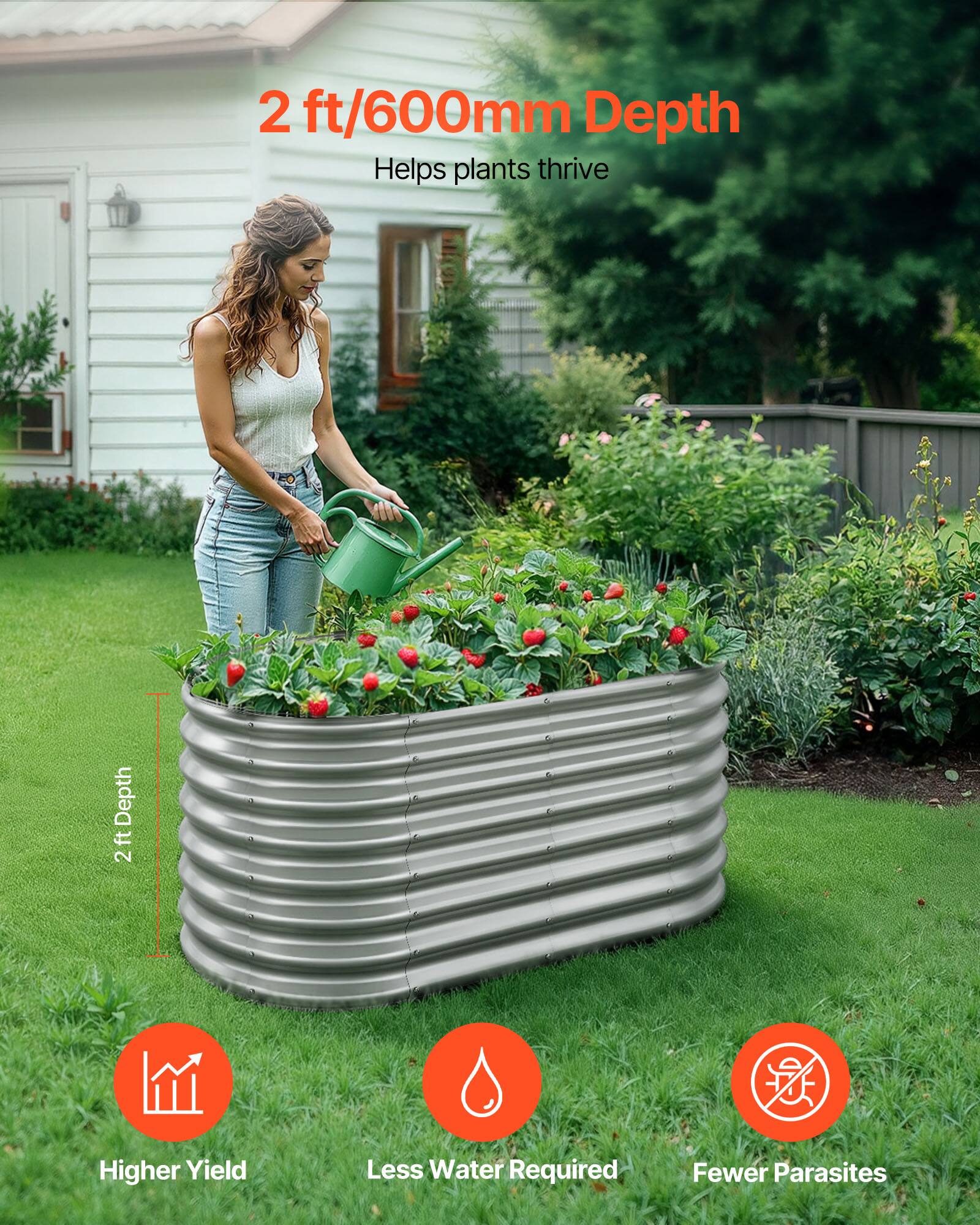 2 ft/600mm Depth  
Helps plants thrive  

Higher Yield  
Less Water Required  
Fewer Parasites