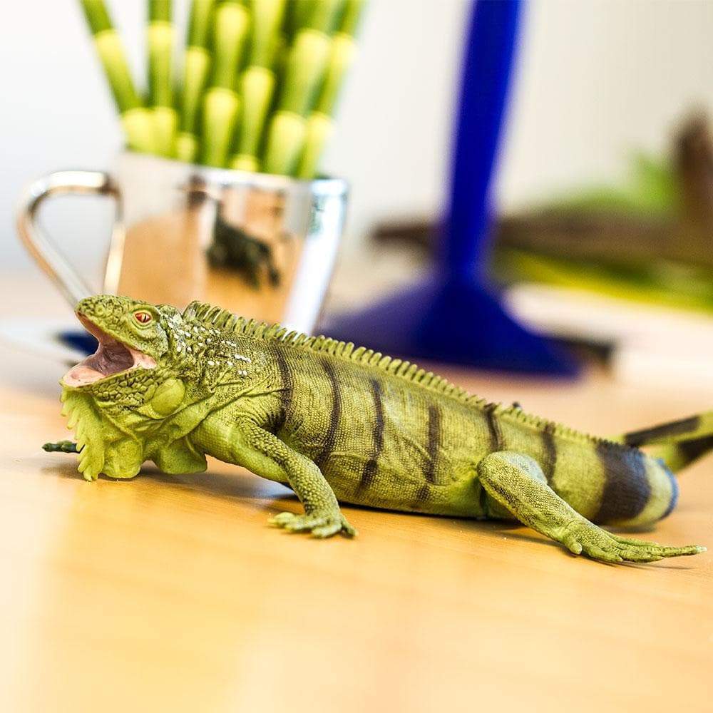 Angle. Safari Ltd. - Iguana Toy Figurine.