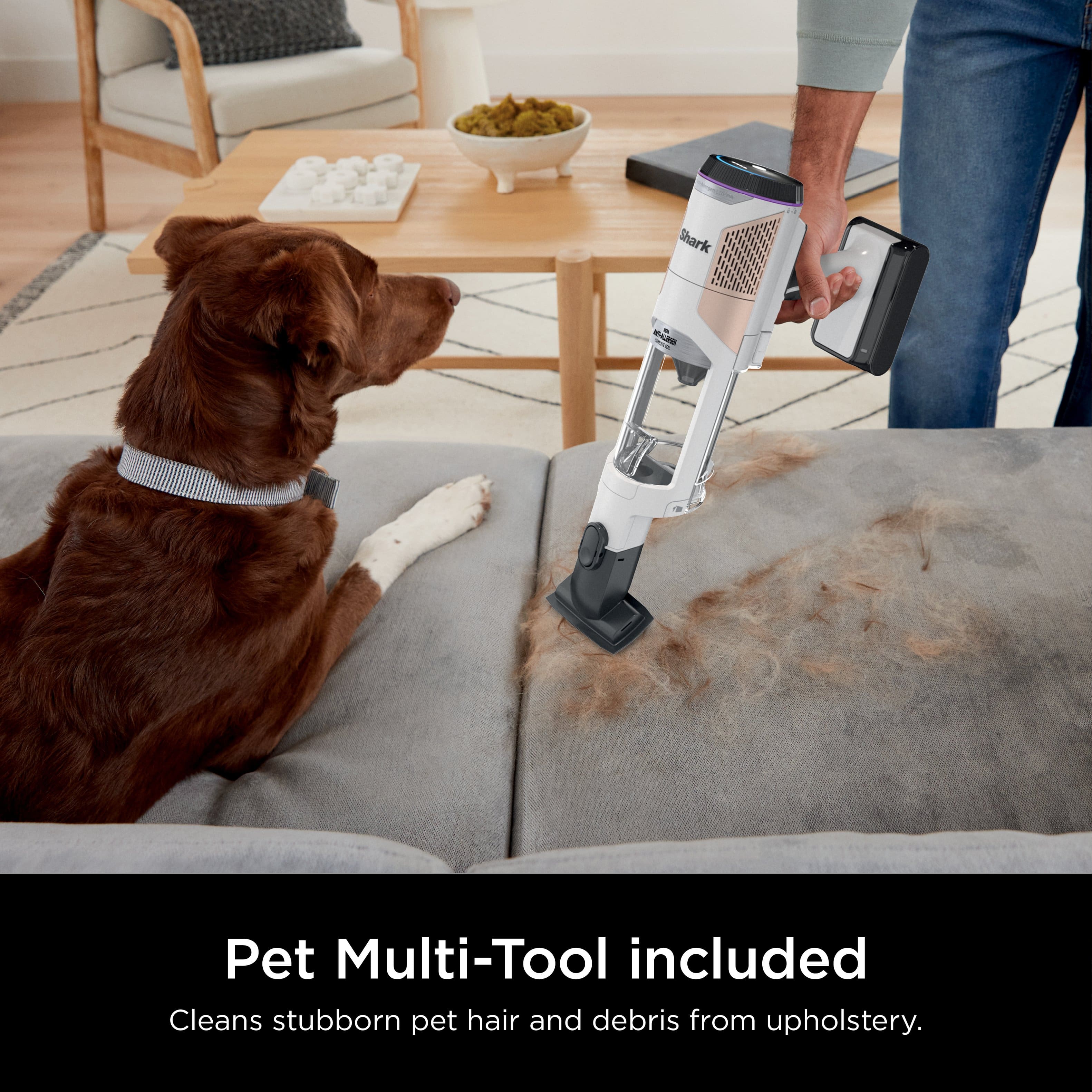 The text on the image reads: "Pet Multi-Tool included. Cleans stubborn pet hair and debris from upholstery."