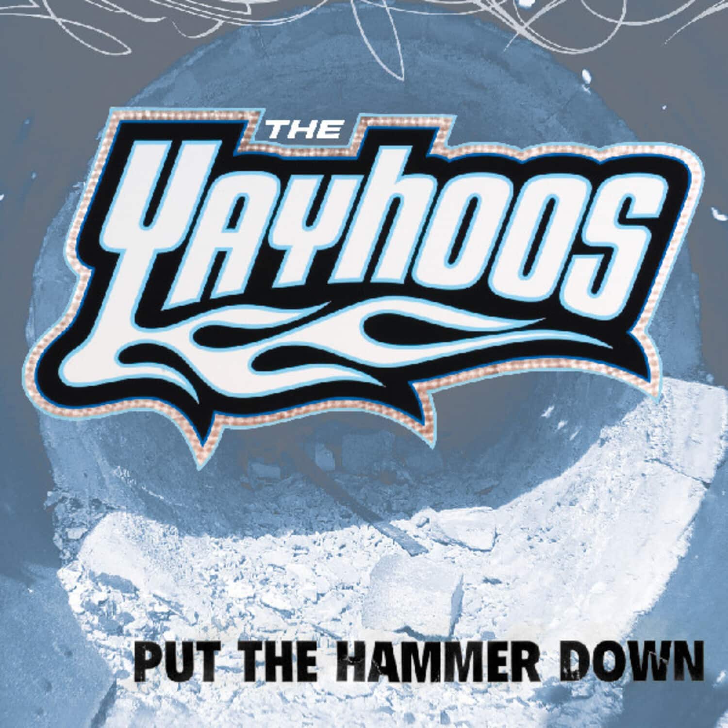 The Yayhoos - Put The Hammer Down   - VINYL LP price history on PriceWatchPro
