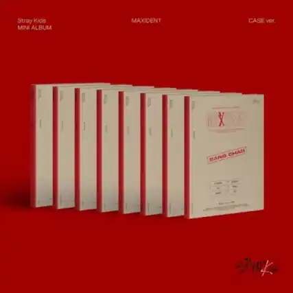 Stray Kids
MINI ALBUM
MAXIDENT
CASE ver.
BANG CHAN