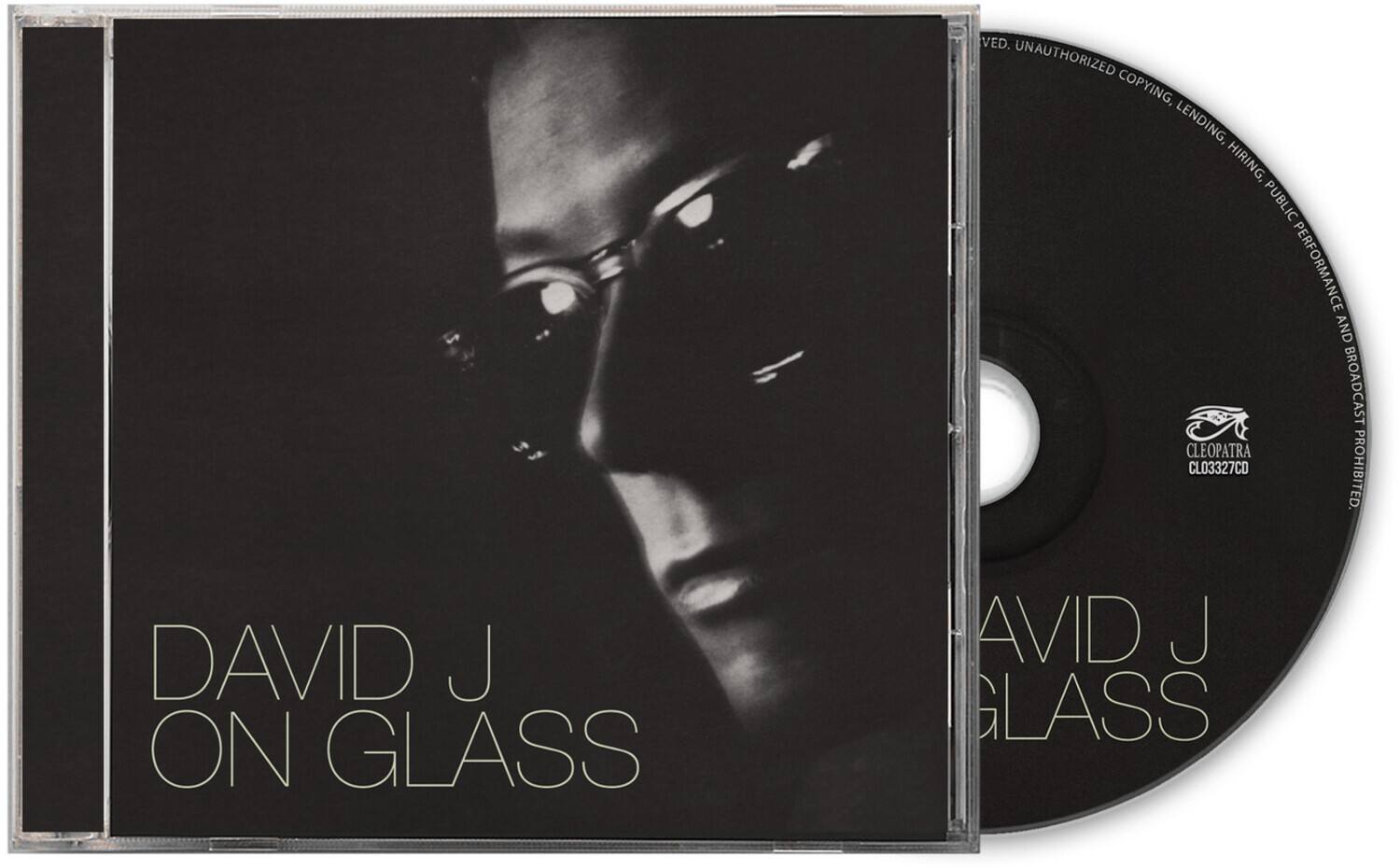 David J - On Glass   - COMPACT DISCS [CD] price history on PriceWatchPro