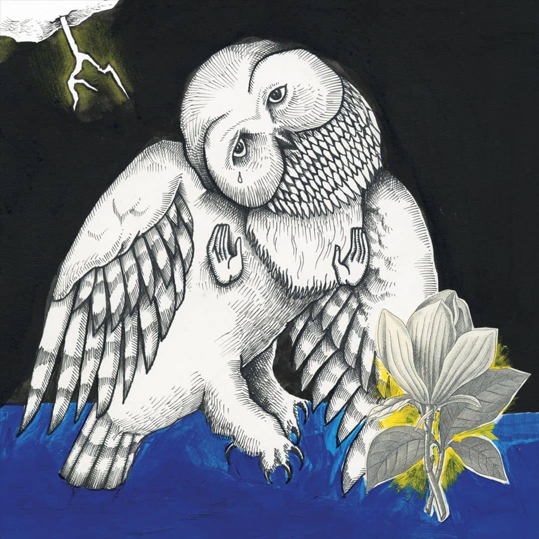 Magnolia Electric Co. [LP] - VINYL