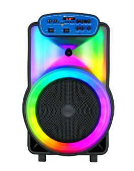 Emerson - Portable Bluetooth 12-Inch Party Speaker with Flame Lighting (EDS-1220) - Black