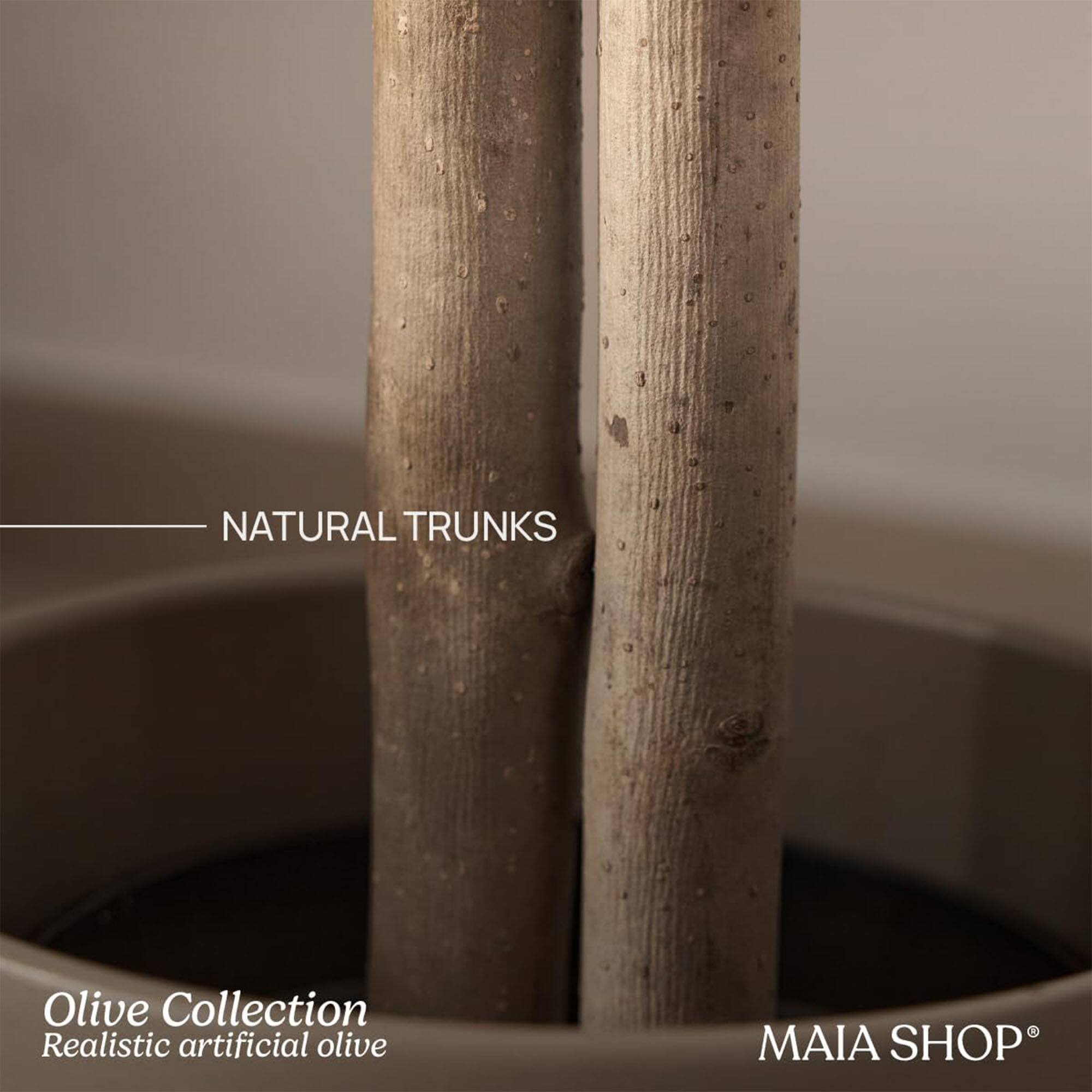 NATURAL TRUNKS

Olive Collection  
Realistic artificial olive

MAIA SHOP®