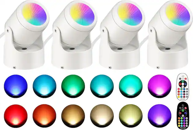 + 6 onF o 21 . W URTOM a dy F W Short icanpe Contrades