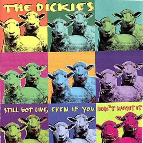 The Dickies - Still Live Even If You Don't Want It   - COMPACT DISCS [CD]