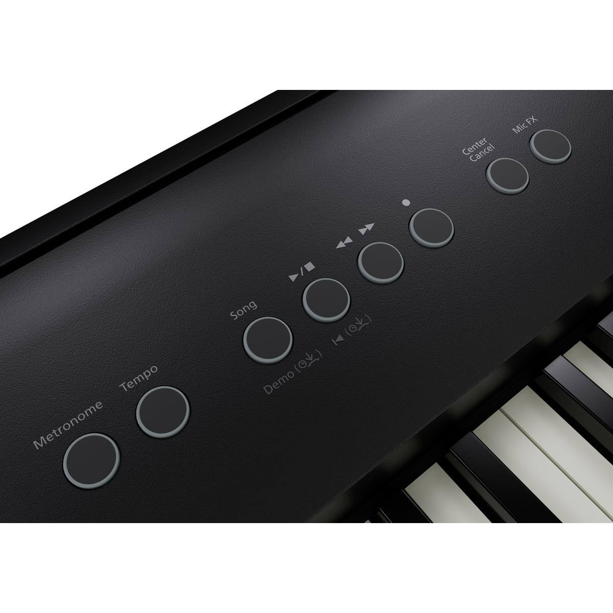 Center Cancel FX Mic Tempo Metronome Song Demo (0 H)