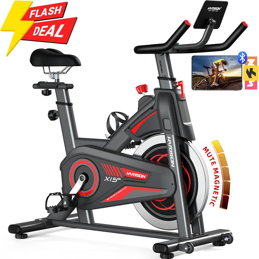 HARISON - Exercise Bike 350 lb Capacity, Magnetic Stationary Bike for Home with Bluetooth (BBX15) - Black