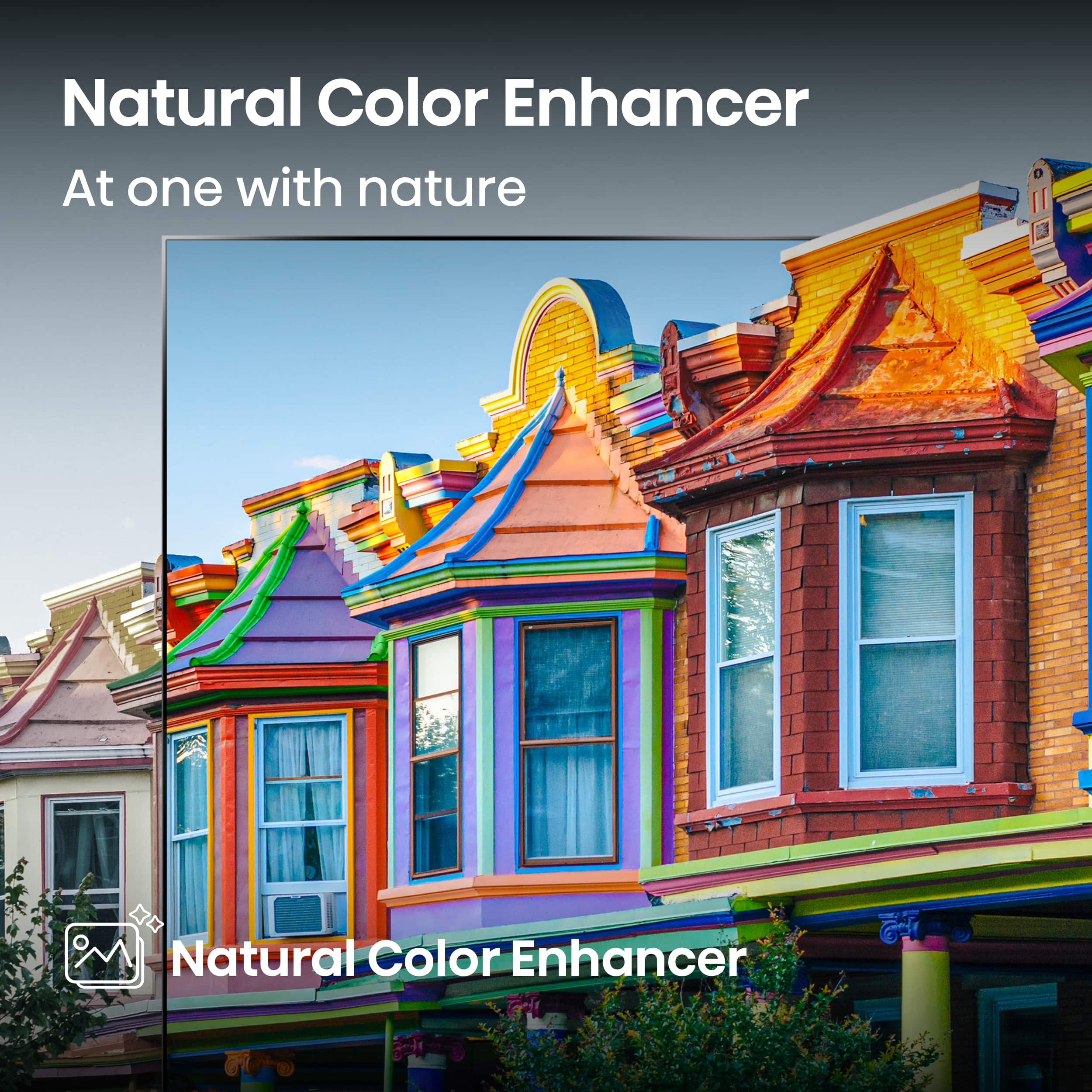 Natural Color Enhancer At one with nature