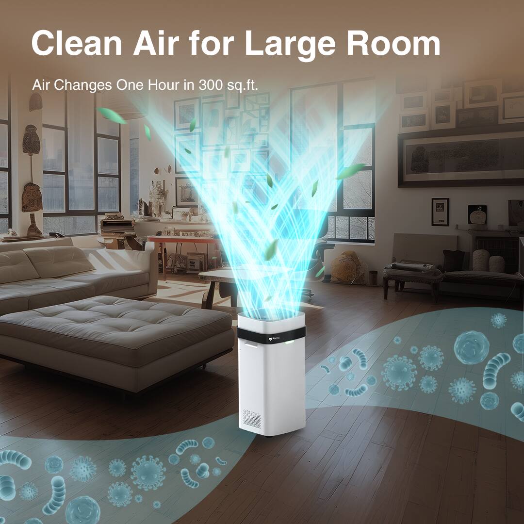 Clean Air for Large Room
Air Changes One Hour in 300 sq.ft.