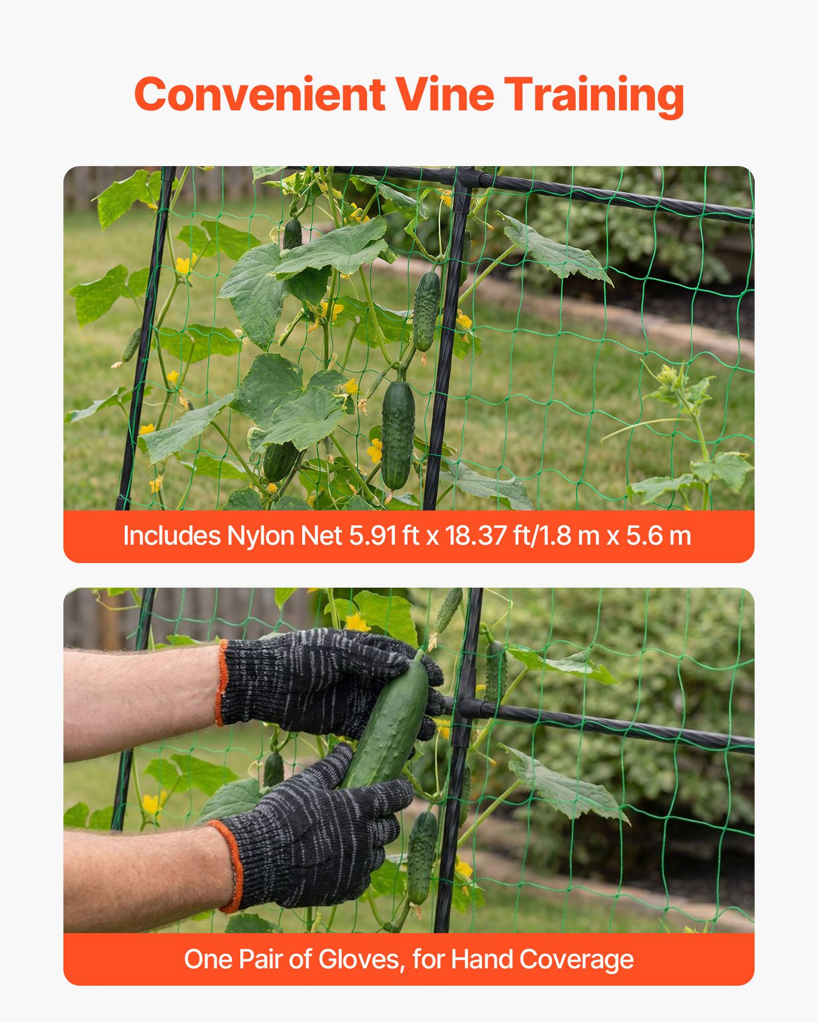Convenient Vine Training

Includes Nylon Net 5.91 ft x 18.37 ft / 1.8 m x 5.6 m

One Pair of Gloves, for Hand Coverage