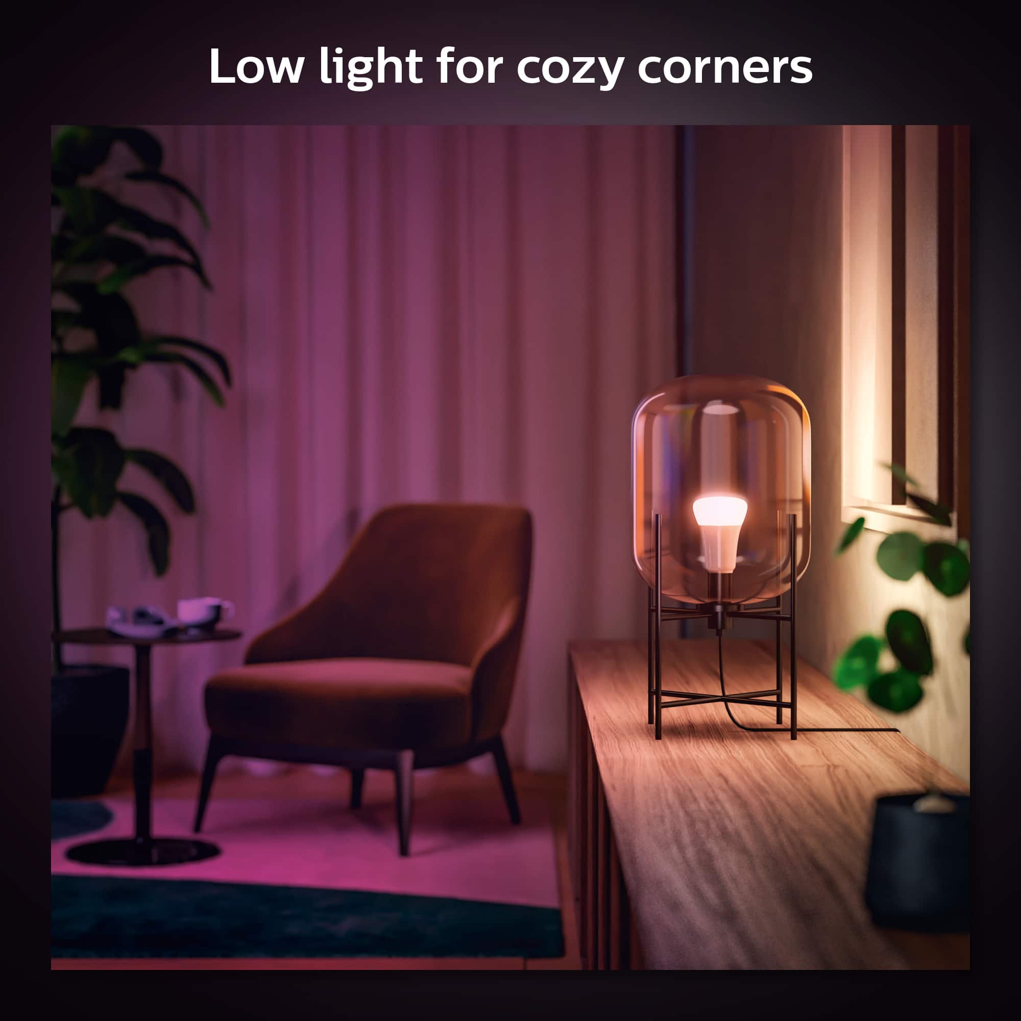 Low light for cozy corners