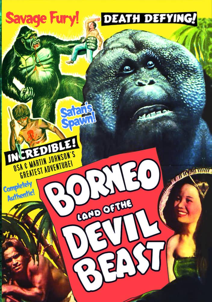 Borneo - DVD price history on PriceWatchPro