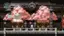 The text on the image reads "60 121 11 HP 31 150 MP CO IH LOST HOL H SOORO GOLD 00020746 MOVE CLEAR 145 UT 5 8."