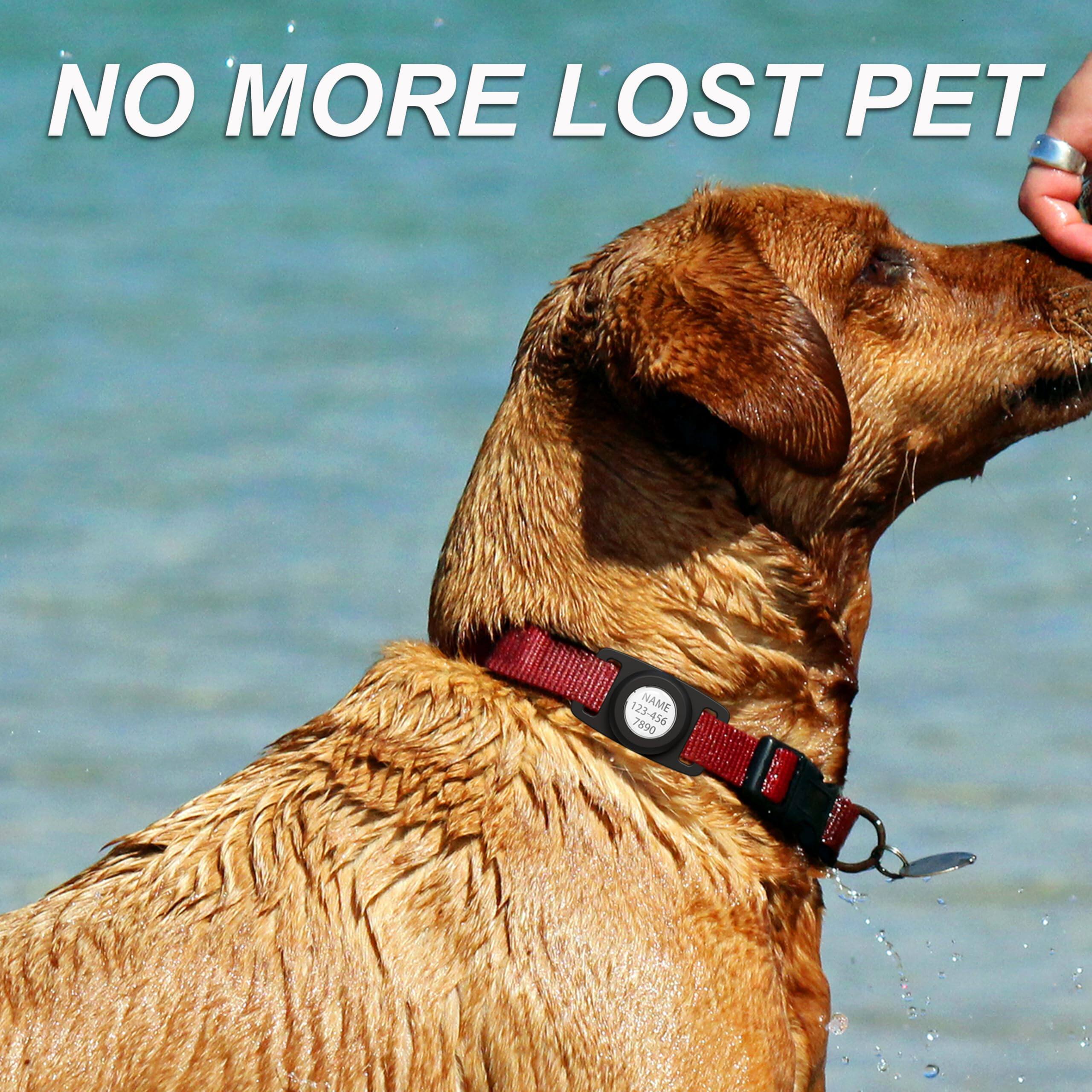 NO MORE LOST PET

123-456 NAME 7890