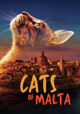 Cats Of Malta - DVD
