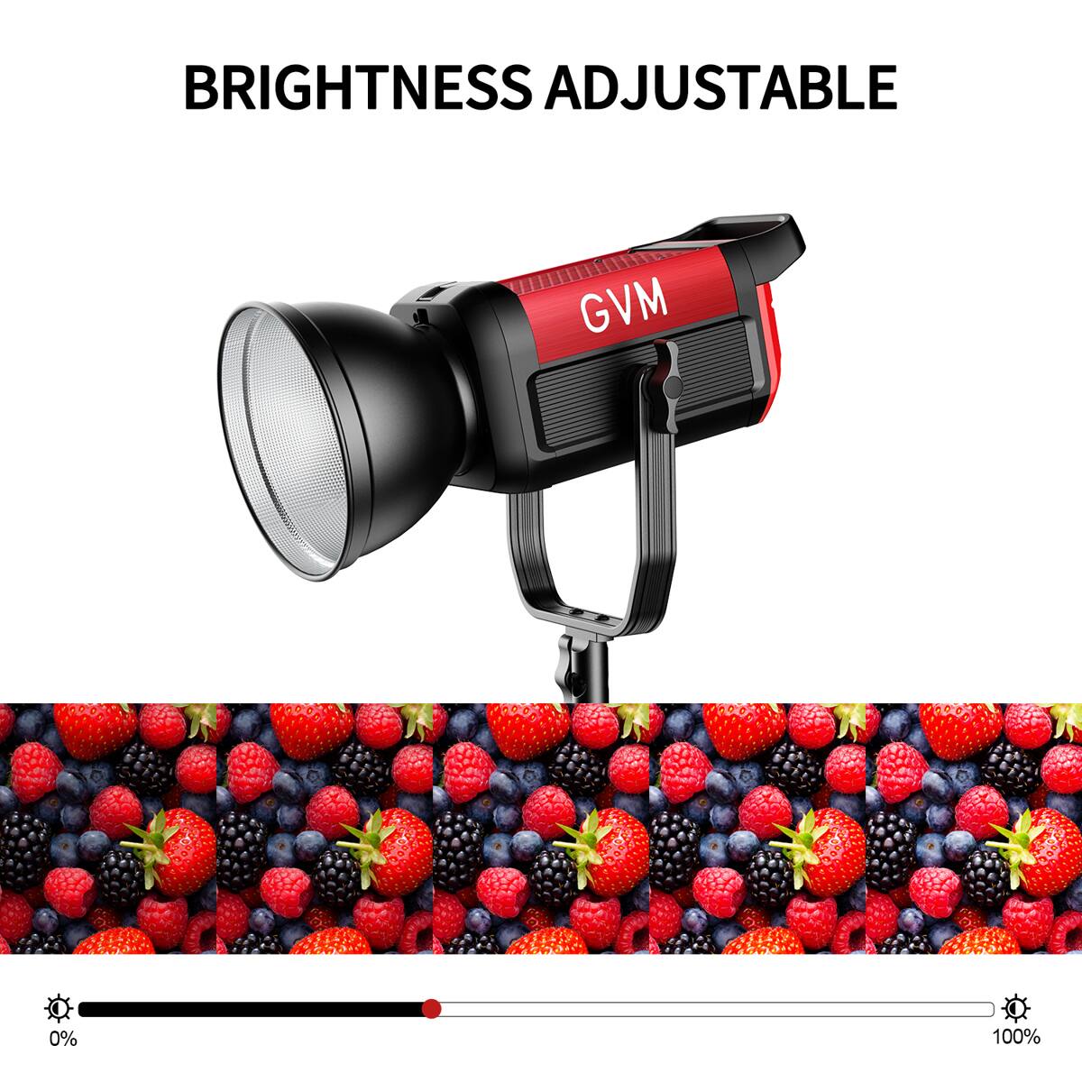 BRIGHTNESS ADJUSTABLE  
GVM  
0% 100%