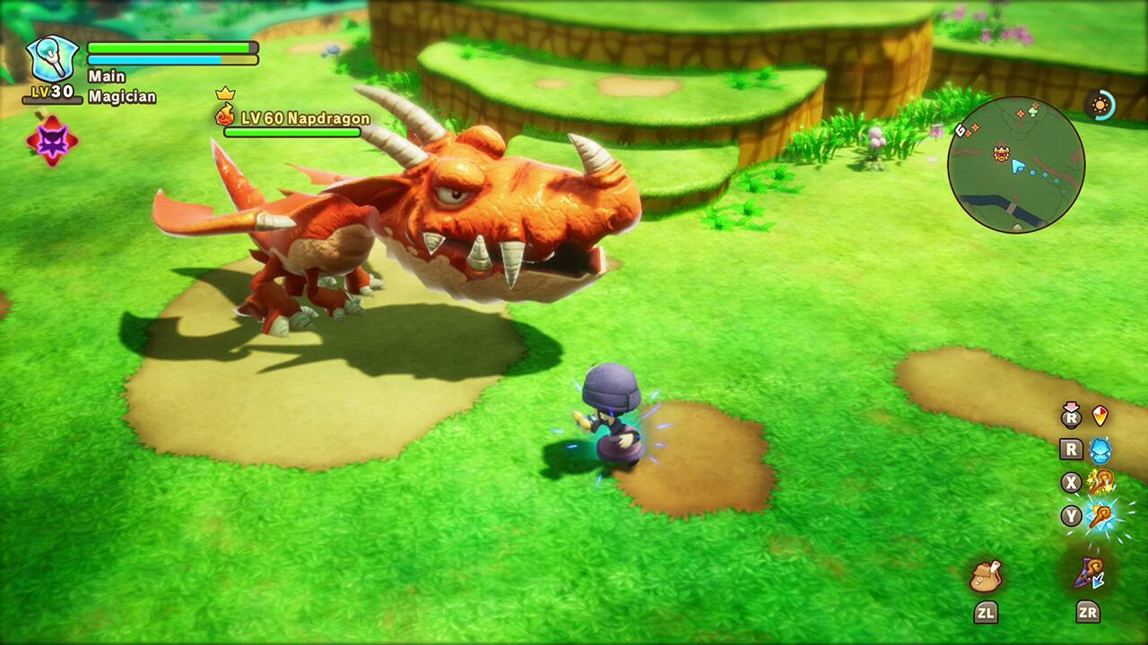 Main LV30 Magician
LV 60 Napdragon
R R X Y ZL ZR
