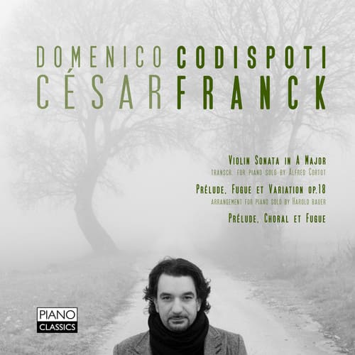 Domenico Codispoti - Preludes Violin Transcription  - COMPACT DISCS