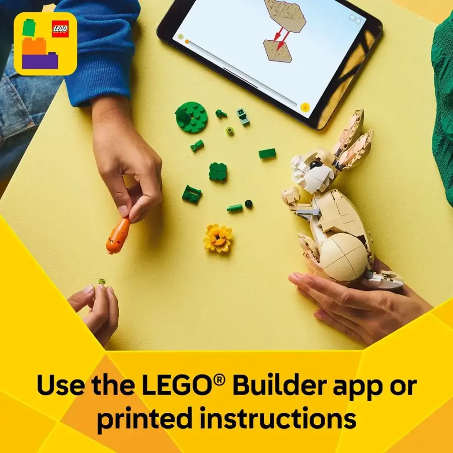 Use the LEGO Builder app or printed instructions.