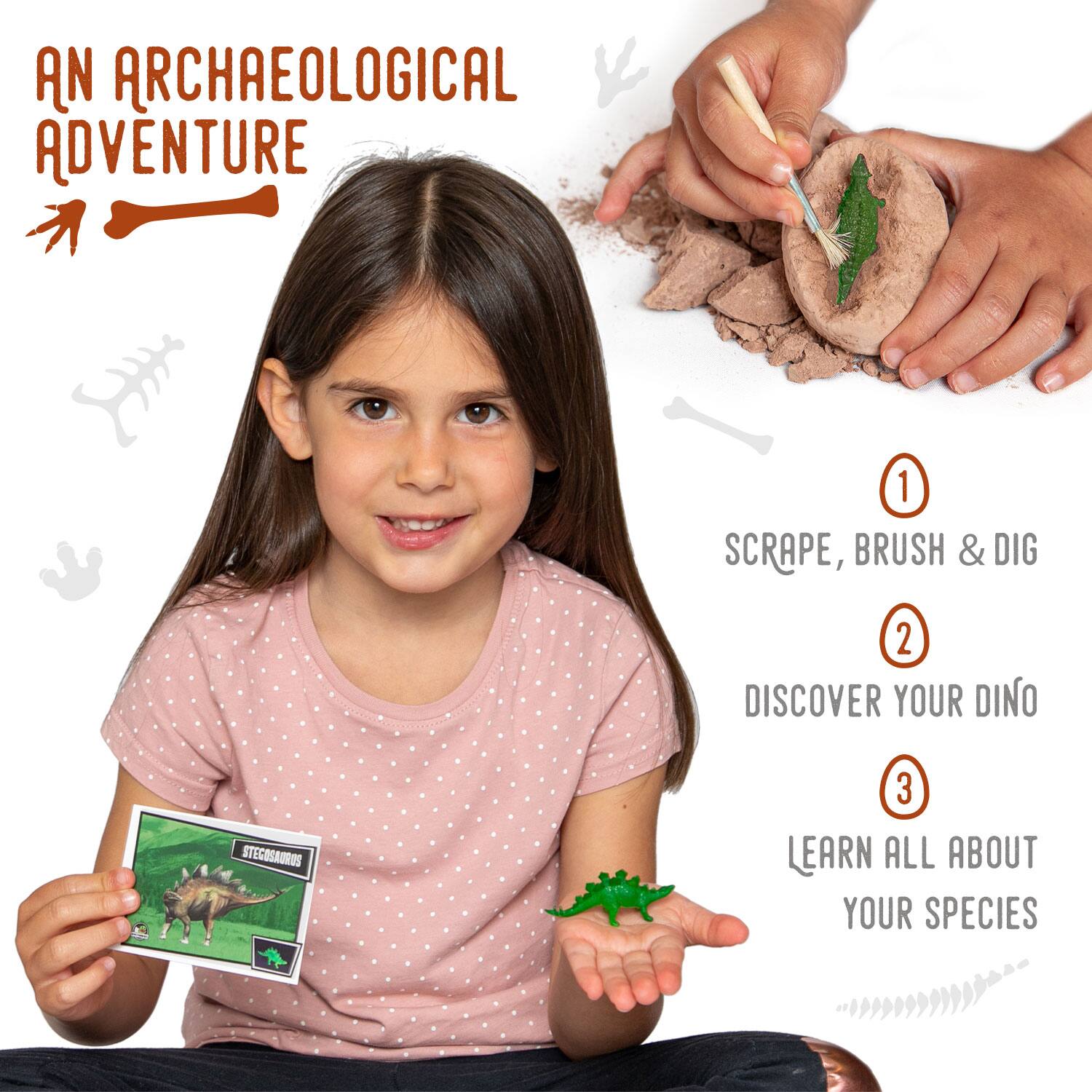 AN ARCHAEOLOGICAL ADVENTURE

1. SCRAPE, BRUSH & DIG
2. DISCOVER YOUR DINO
3. LEARN ALL ABOUT YOUR SPECIES