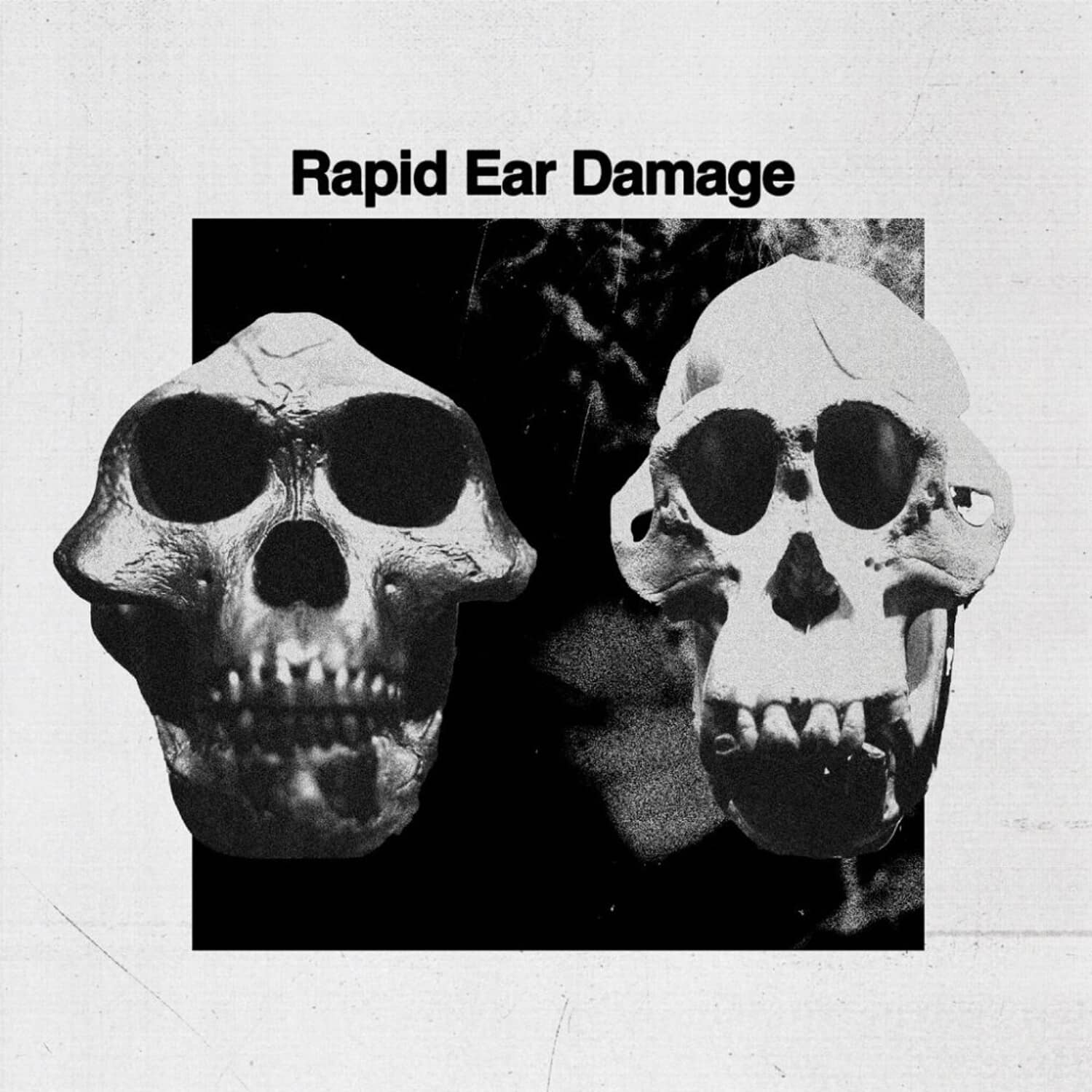 Rapid Ear Damage - R.E.D.  - VINYL LP