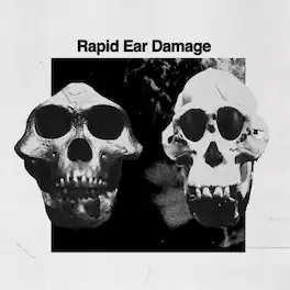 Rapid Ear Damage - R.E.D. - VINYL LP