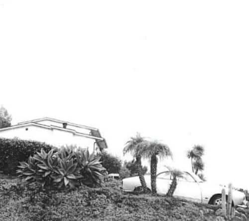 Timber Timbre - Hot Dreams   - COMPACT DISCS [CD] price history on PriceWatchPro