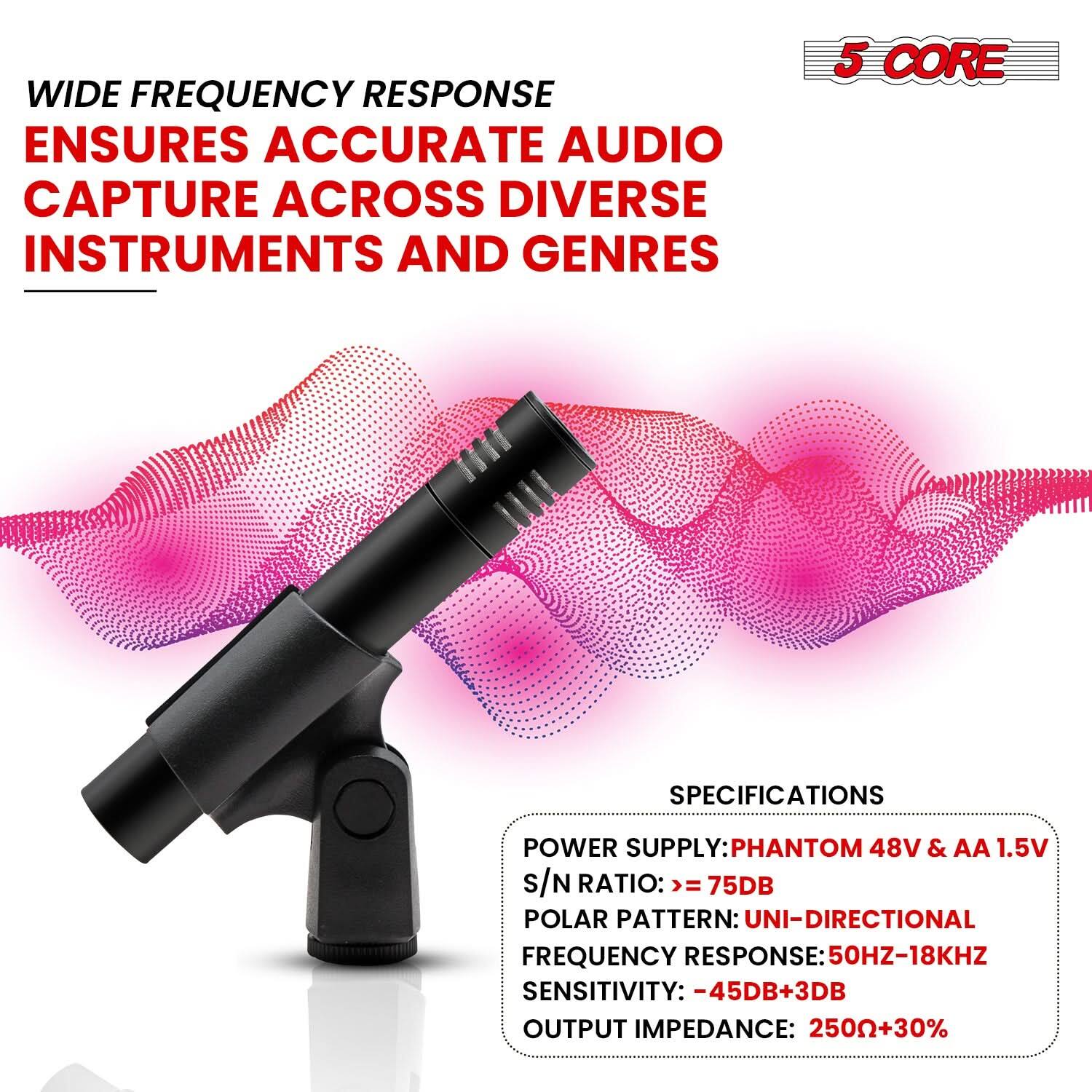 WIDE FREQUENCY RESPONSE ENSURES ACCURATE AUDIO CAPTURE ACROSS DIVERSE INSTRUMENTS AND GENRES

5 CORE SPECIFICATIONS:
- POWER SUPPLY: PHANTOM 48V & AA 1.5V
- S/N RATIO: >= 75DB
- POLAR PATTERN: UNI-DIRECTIONAL
- FREQUENCY RESPONSE: 50HZ-18KHZ
- SENSITIVITY: -45DB+3DB
- OUTPUT IMPEDANCE: 250+30%