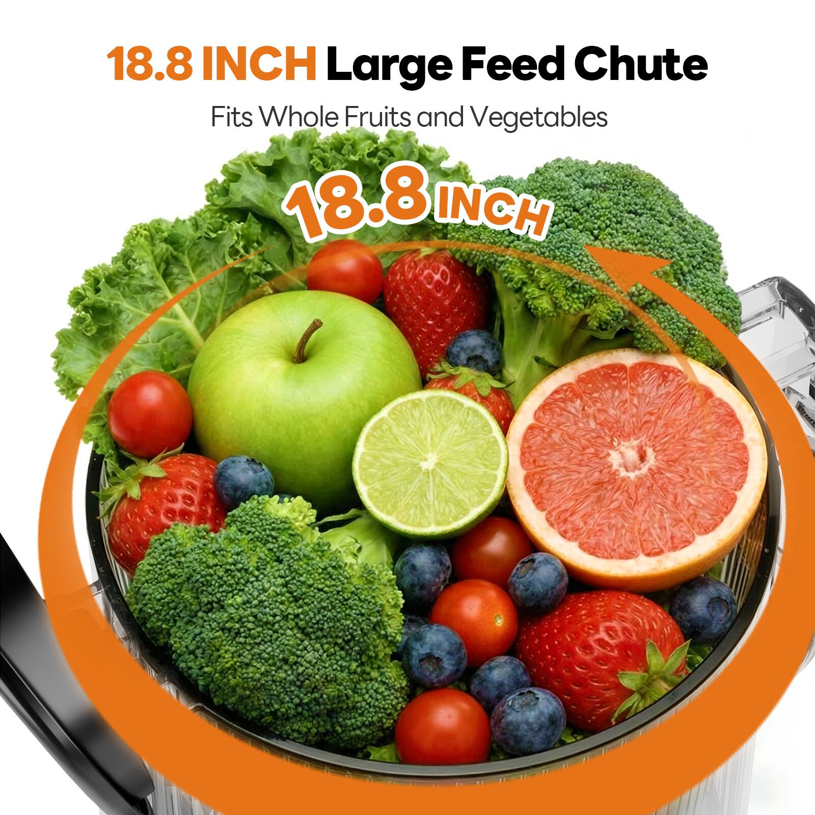 18.8 INCH Large Feed Chute  
Fits Whole Fruits and Vegetables  
18.8 INCH