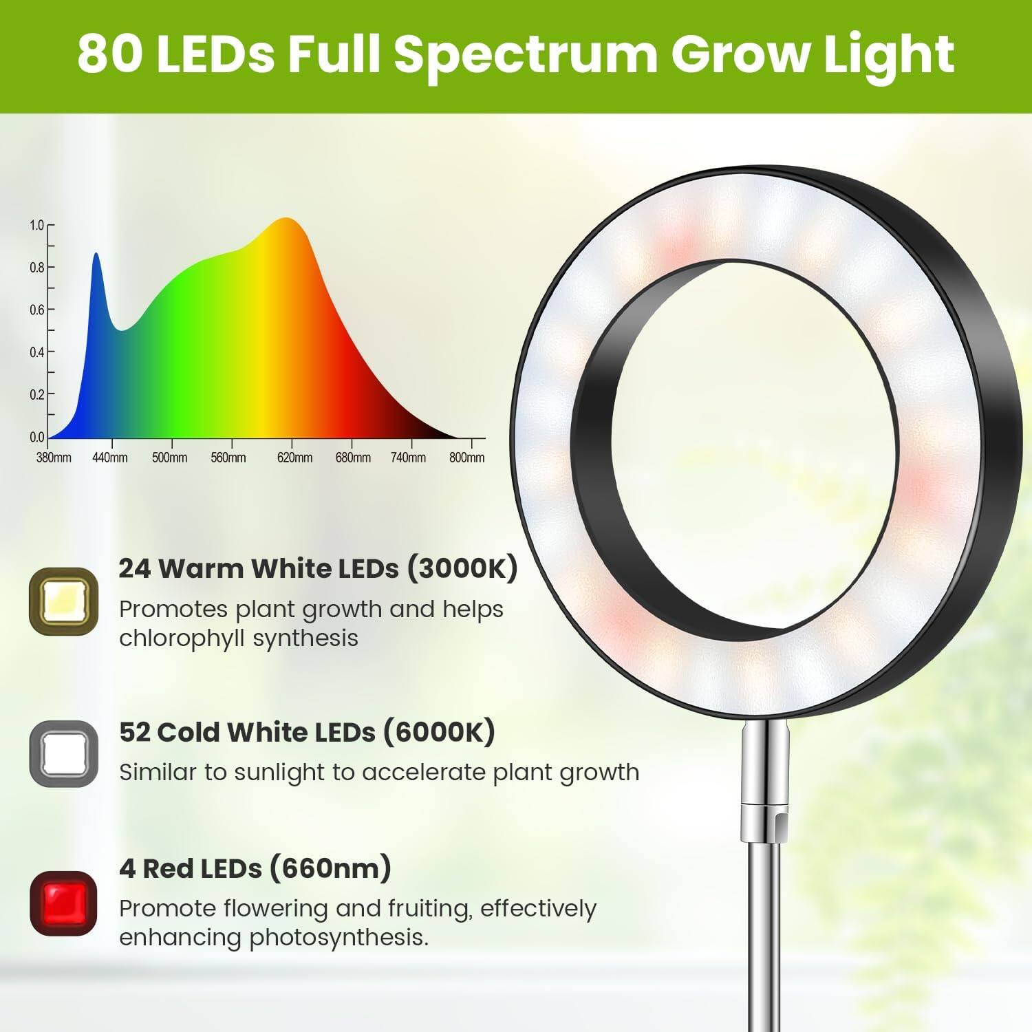 80 LEDs Full Spectrum Grow Light

24 Warm White LEDs (3000K)  
Promotes plant growth and helps chlorophyll synthesis

52 Cold White LEDs (6000K)  
Similar to sunlight to accelerate plant growth

4 Red LEDs (660nm)  
Promote flowering and fruiting, effectively enhancing photosynthesis.