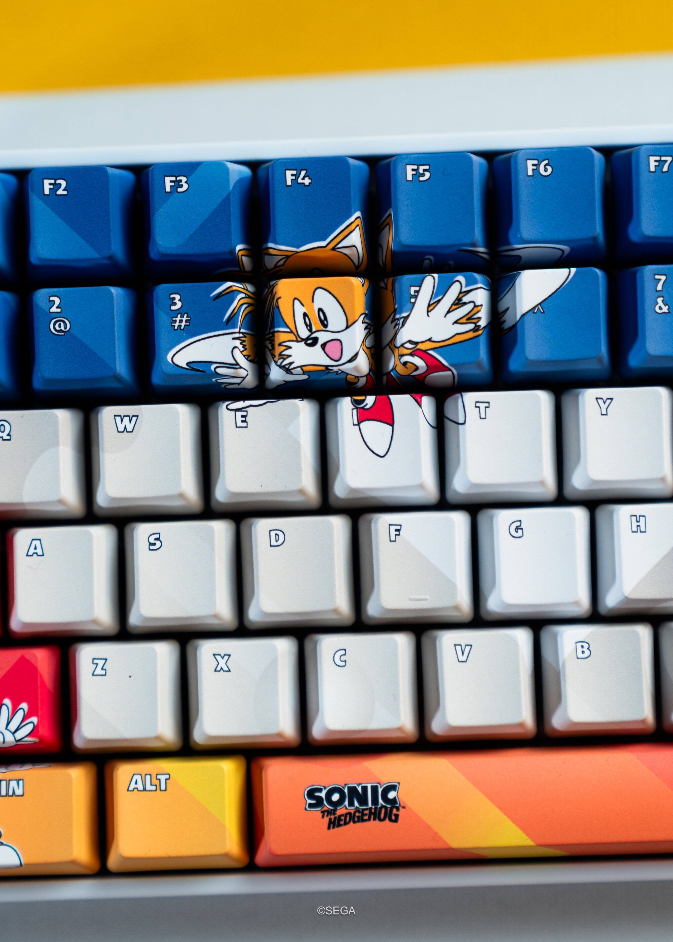 F2 F3 F4 F5 F6 F7  
2 @ 3 # 7 &  
Q W E T Y  
A S D F G H  
Z X C V B  
IN ALT  
SONIC THE HEDGEHOG SEGA