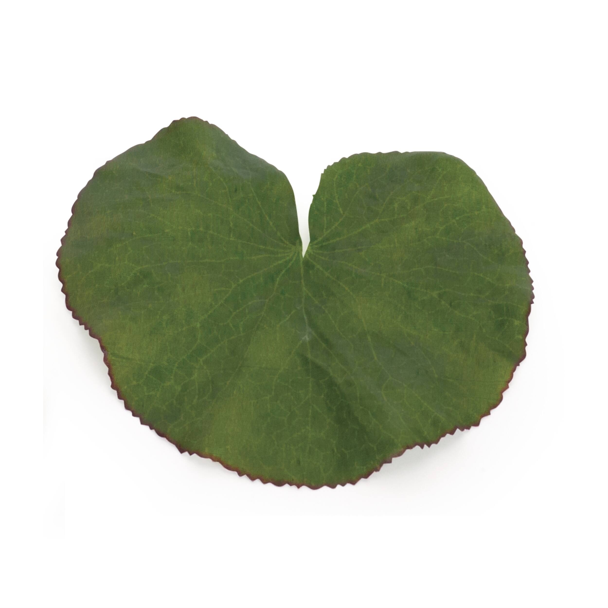 Angle. BreeBe - Assorted Bag of Leaves Filler (Set of 12) - Green.