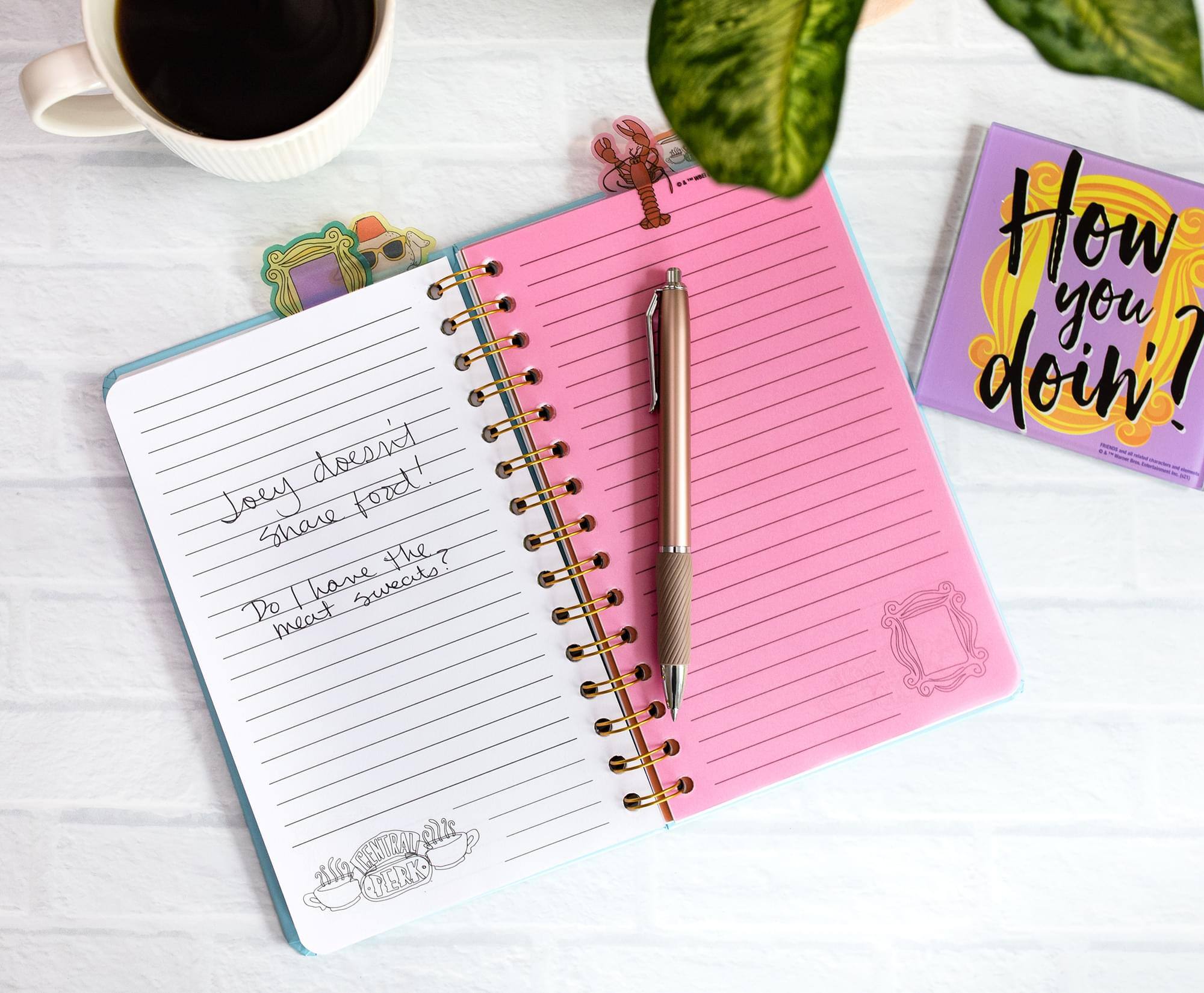 Joey deserves  
Share food  
Do I have the  
meat sweets?  

How you doin?