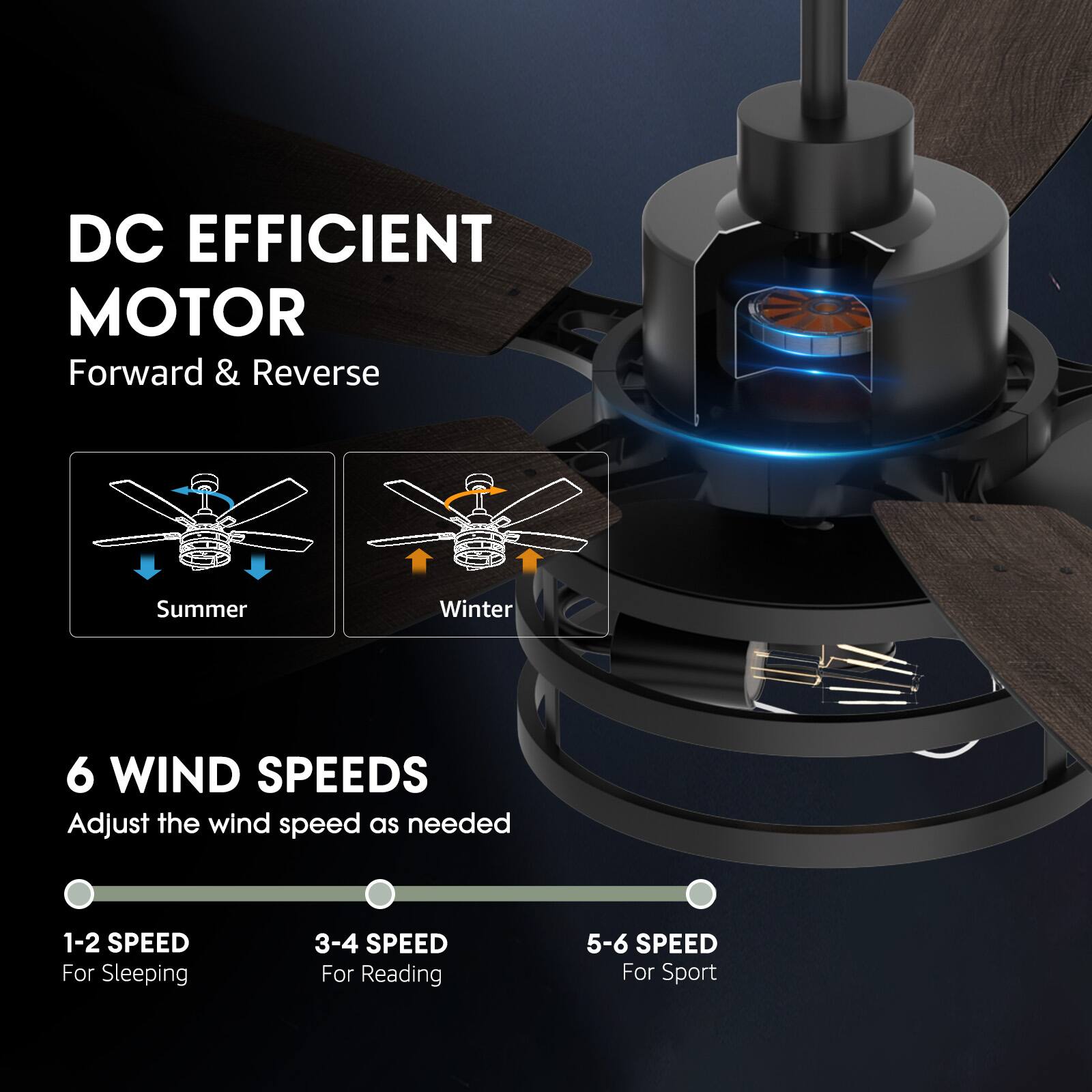 DC EFFICIENT MOTOR  
Forward & Reverse  

Summer  
Winter  

6 WIND SPEEDS  
Adjust the wind speed as needed  

1-2 SPEED  
For Sleeping  

3-4 SPEED  
For Reading  

5-6 SPEED  
For Sport