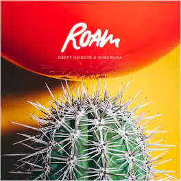 Roam - Great Heights & Nosedives - VINYL LP
